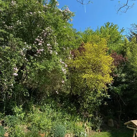 Pantone Ultra Apartmán