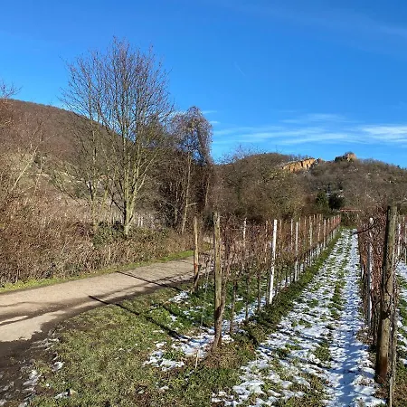 Pantone Ultra Apartmán