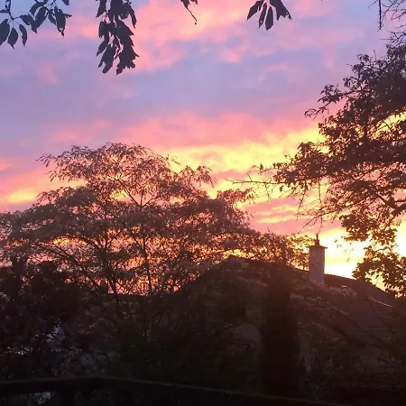 Pantone Ultra 도젠하임