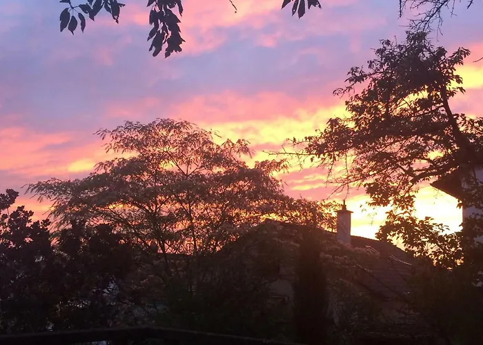 Pantone Ultra 도젠하임